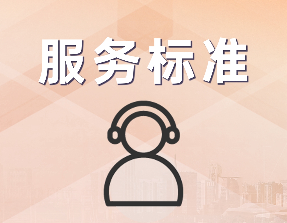 服务标准